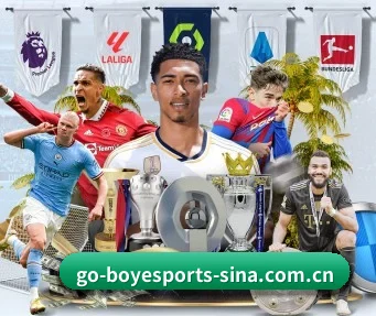 博业体育 APP - BOYE SPORTS